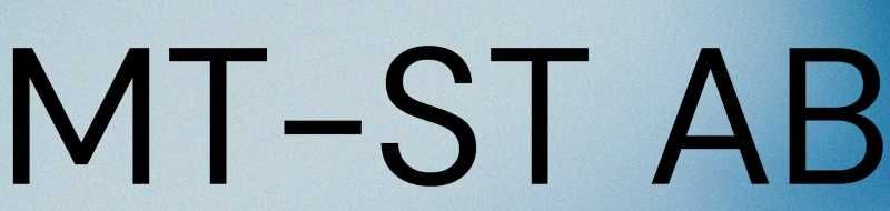 MT-ST AB - Städtjänster för hem & företag